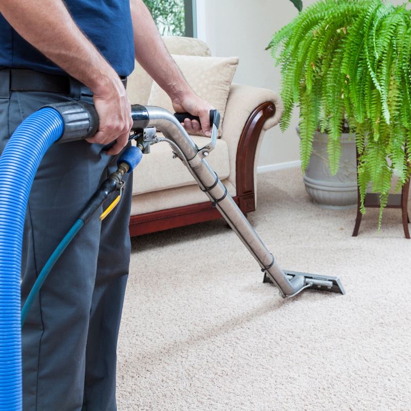 Professional carpet cleaning service in an Orlando home